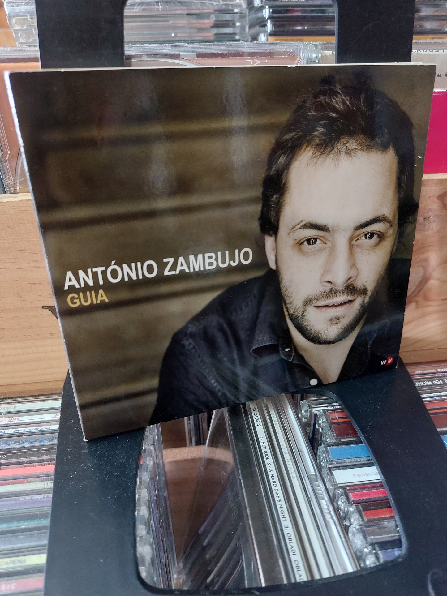 António Zambujo- Guia